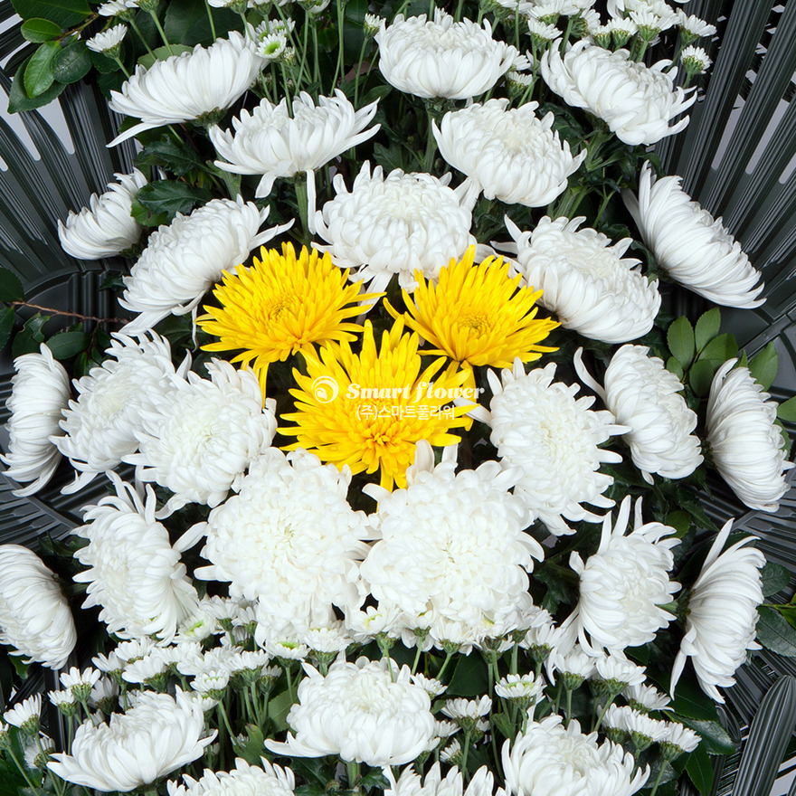 상세이미지