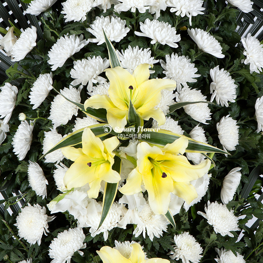 상세이미지