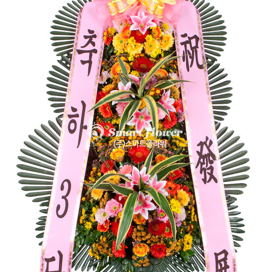 축하3단