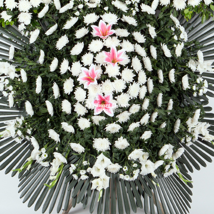 상세이미지