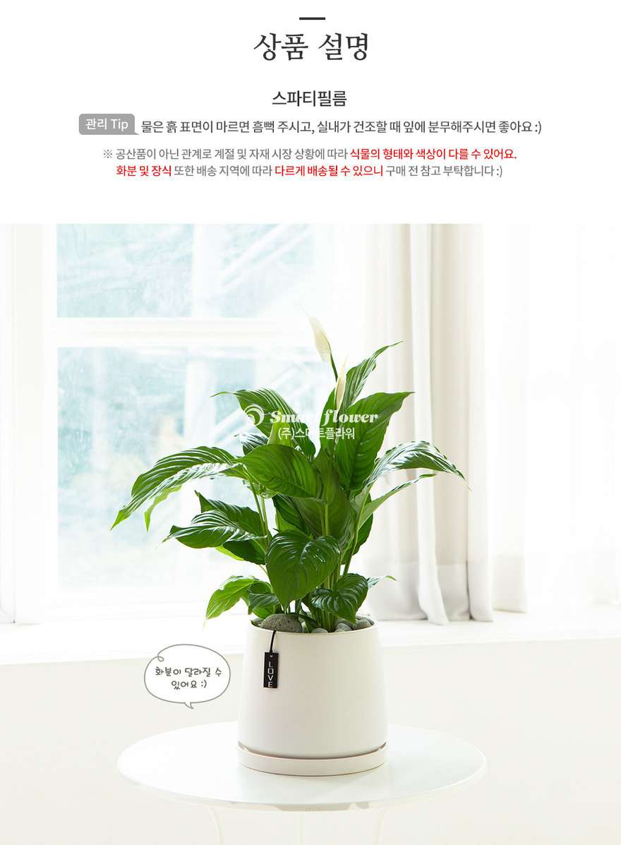 상세이미지