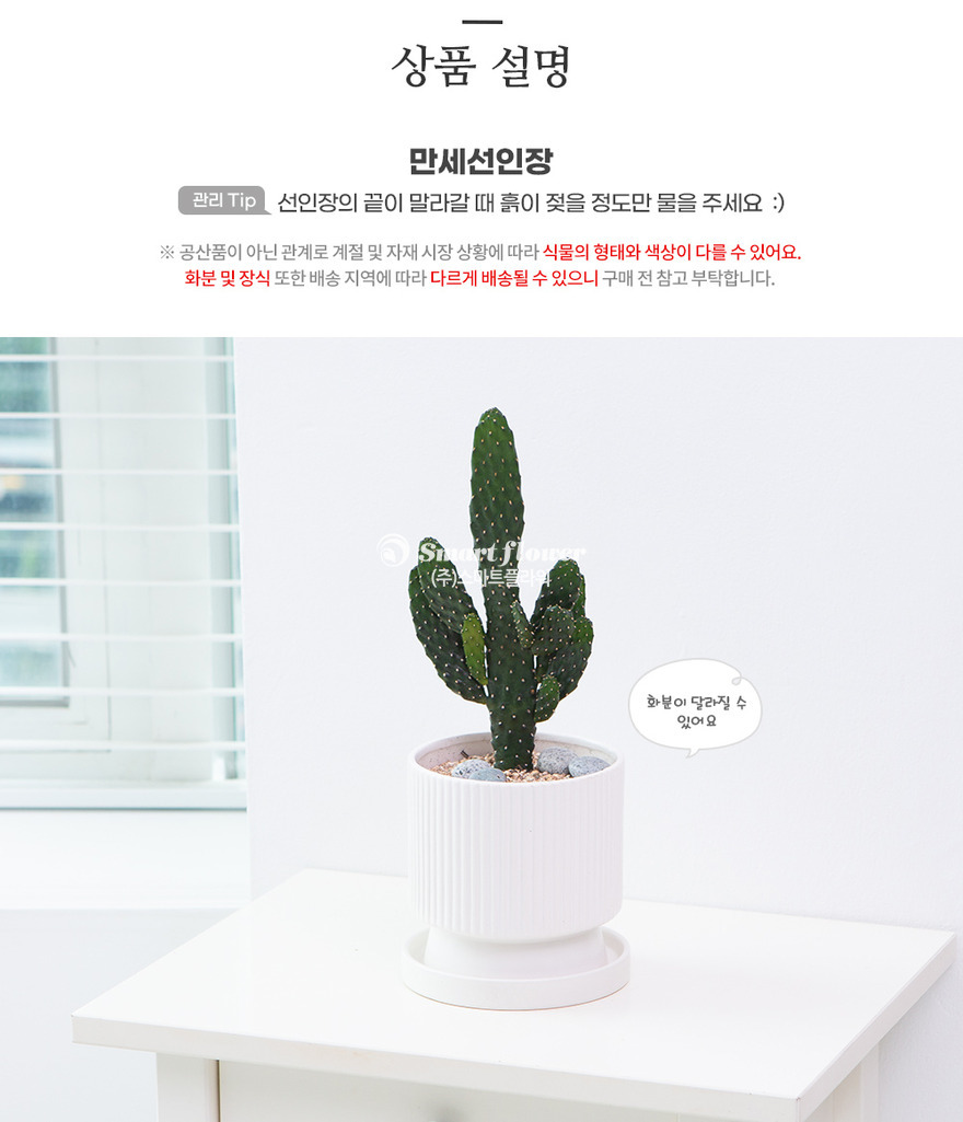상세이미지