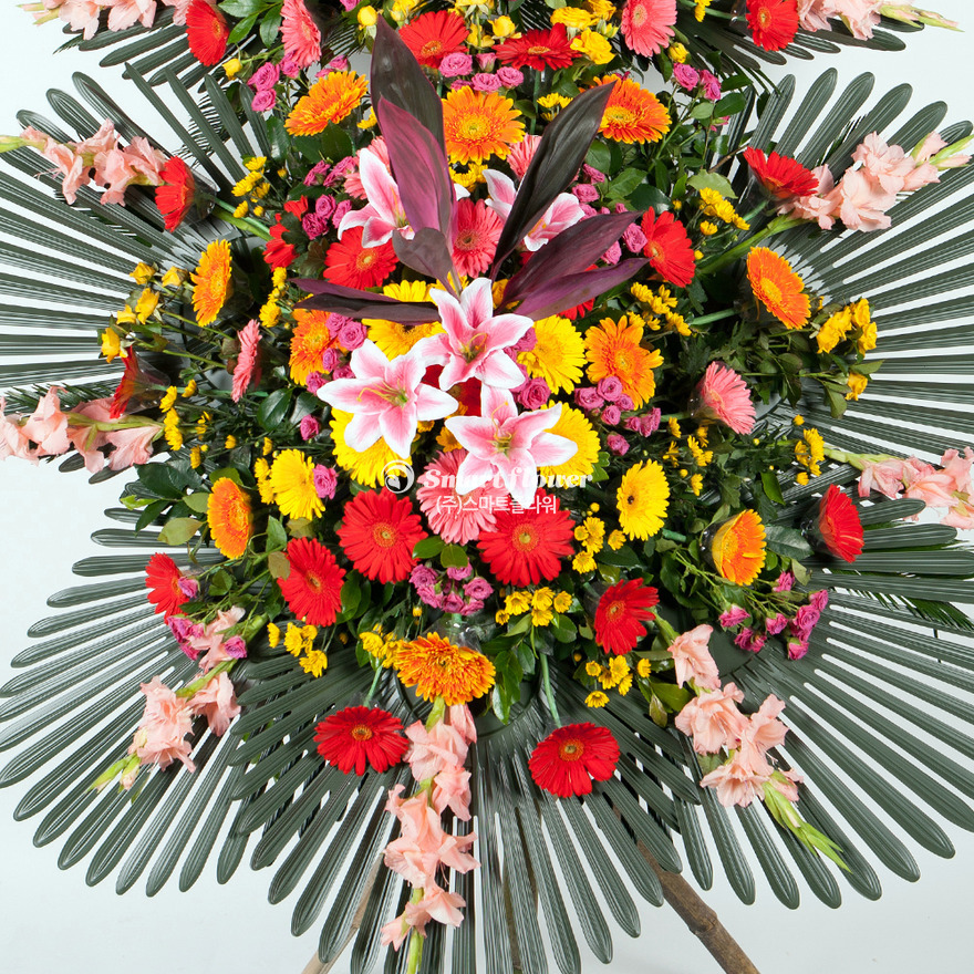 상세이미지