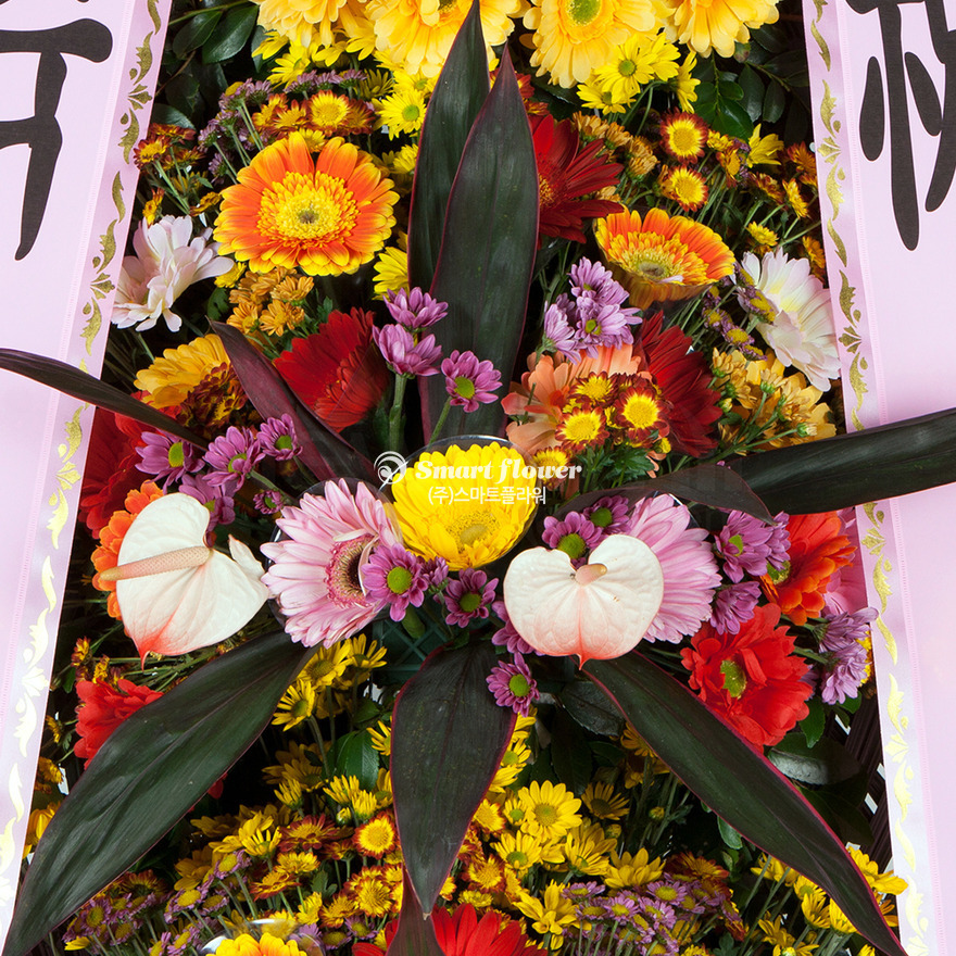 상세이미지