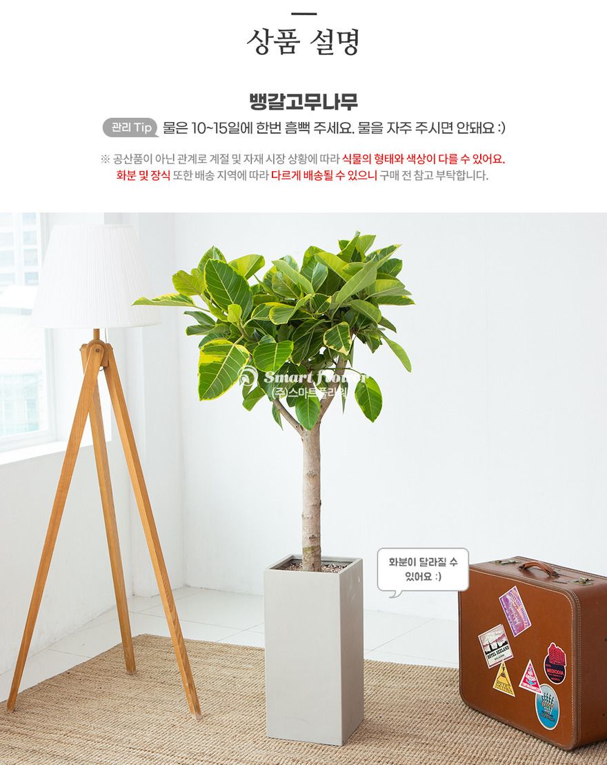 상세이미지