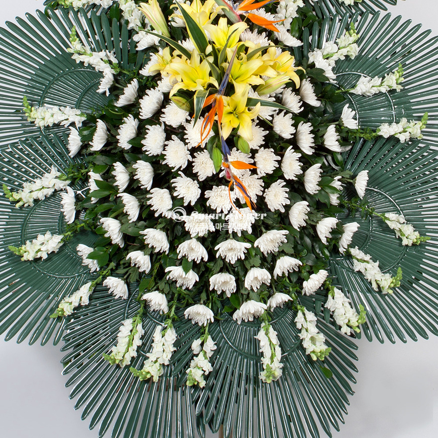 상세이미지