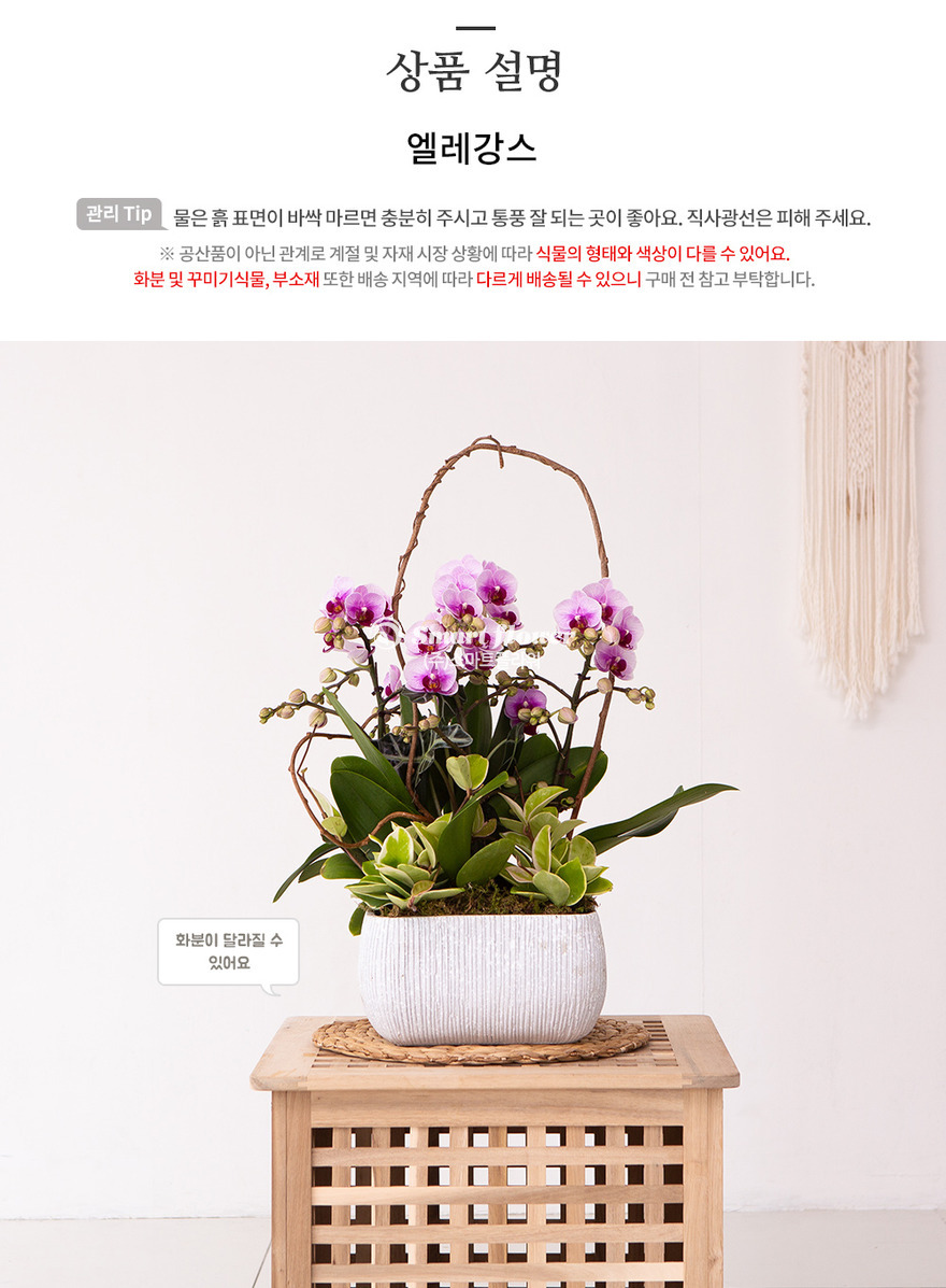 상세이미지