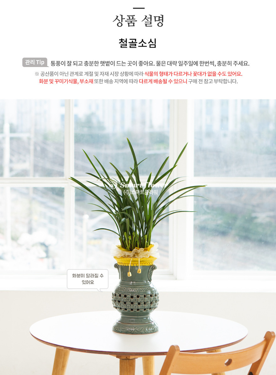 상세이미지