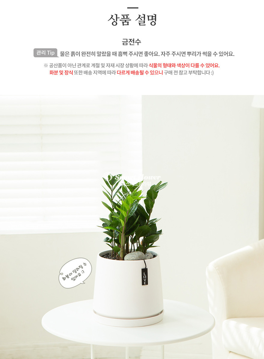 상세이미지