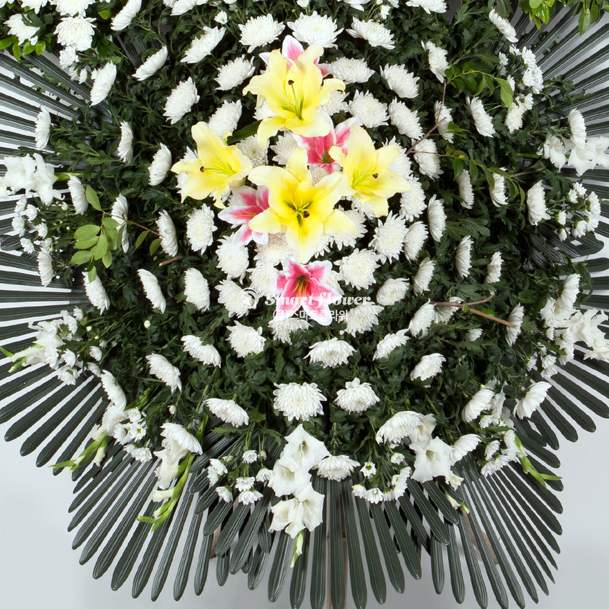상세이미지