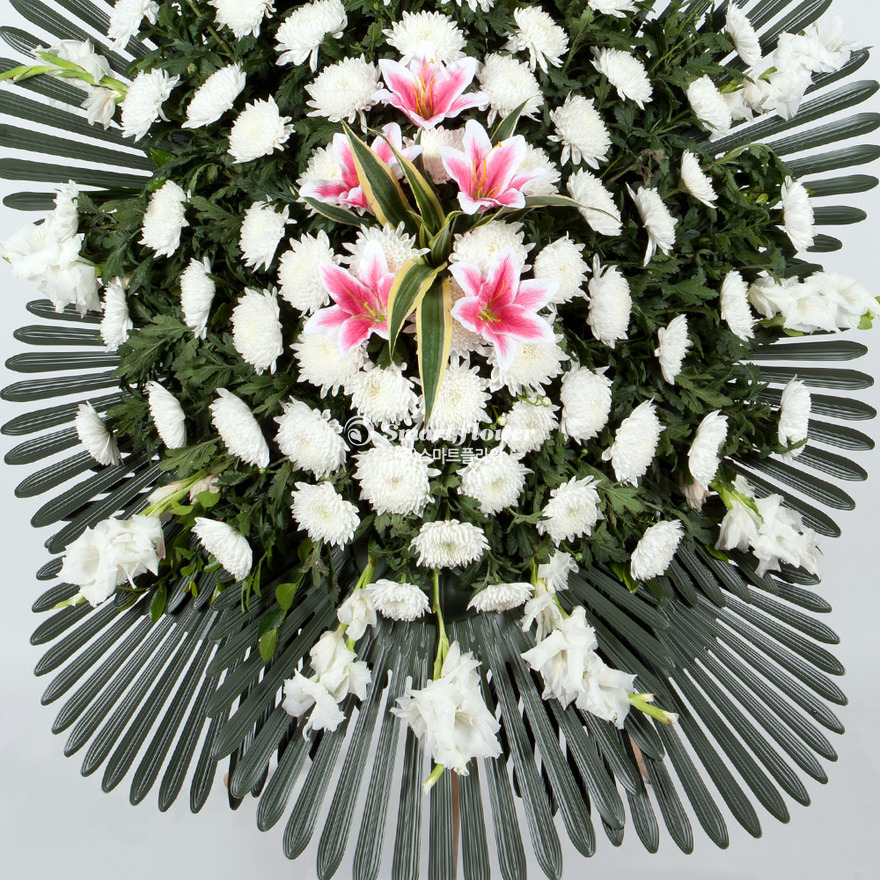 상세이미지