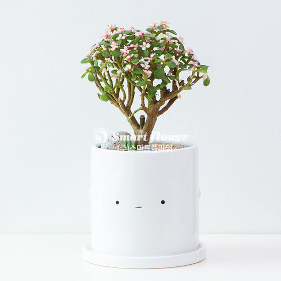 사랑목