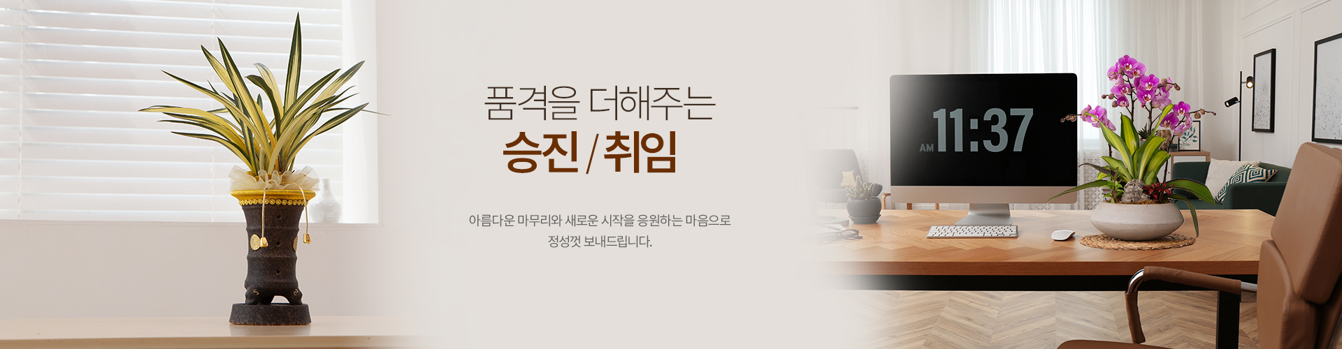 승진/취임